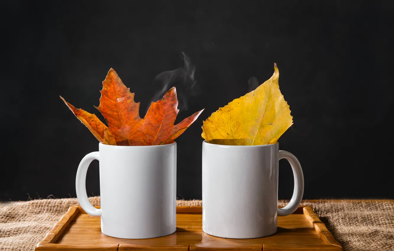 Фото обои осень, листья, кружка, напиток, подставка