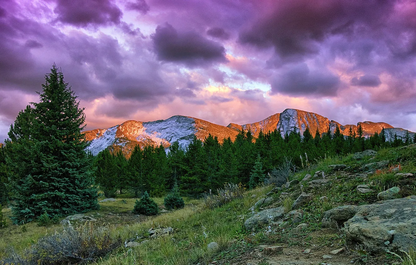 Фото обои лес, трава, деревья, пейзаж, горы, тучи, природа, камни, склон, Колорадо