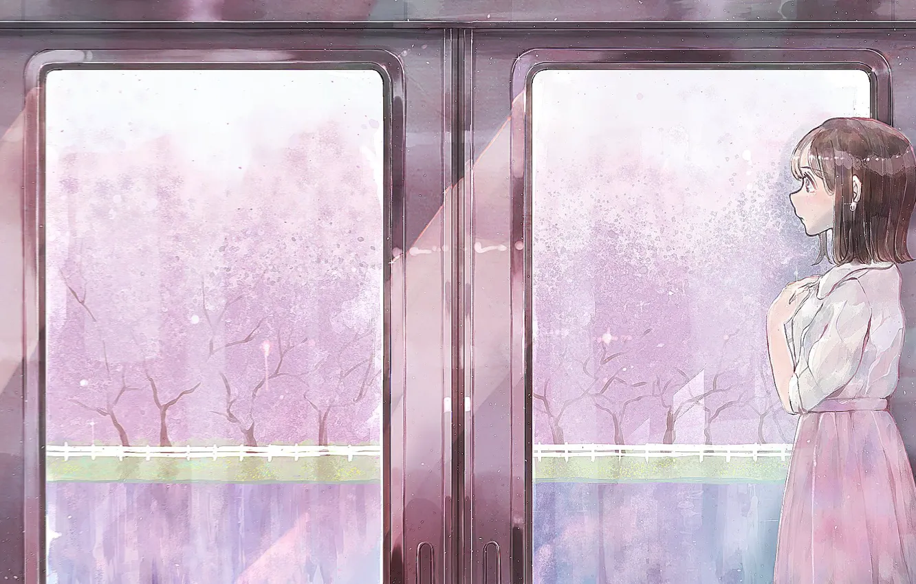 Фото обои девушка, поезд, весна, сакура, цветение