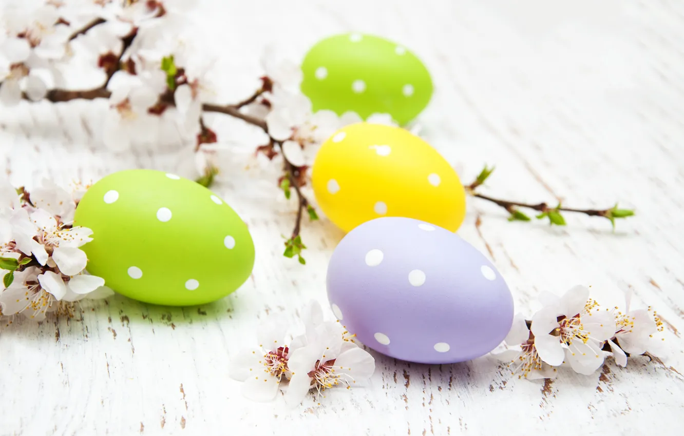 Фото обои цветы, яйца, весна, colorful, Пасха, happy, wood, blossom, flowers, spring, Easter, eggs, decoration