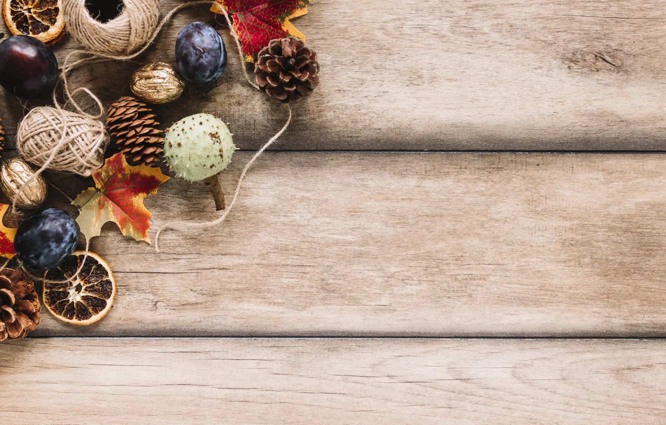 Фото обои осень, листья, фон, дерево, colorful, фрукты, орехи, сливы, шишки, wood, background, autumn, leaves, fruits, осенние, …