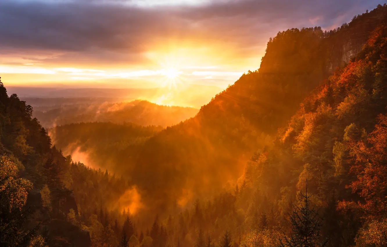Фото обои осень, небо, солнце, облака, деревья, закат, горы, тучи, природа, Чехия, Усти-над-Лабем