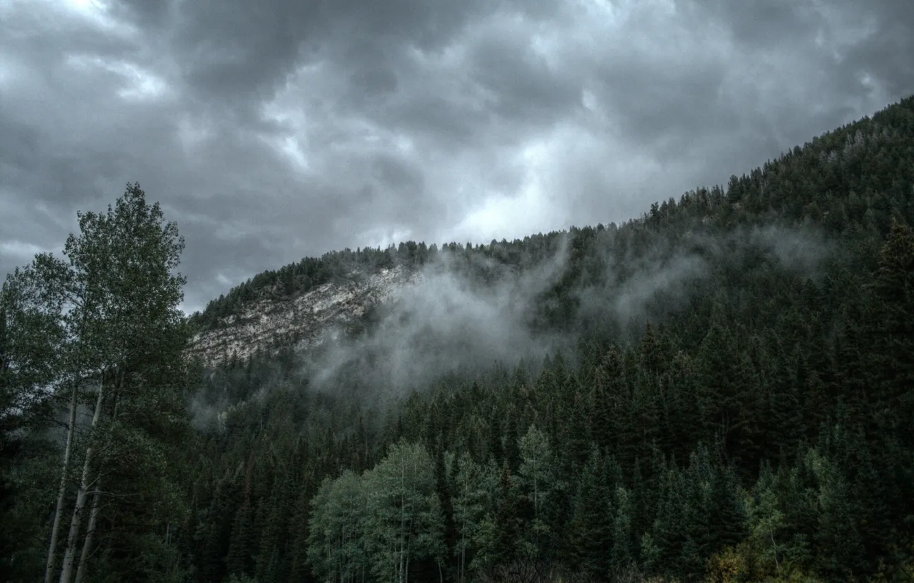 Фото обои лес, небо, деревья, тучи, природа, гора, Юта, США