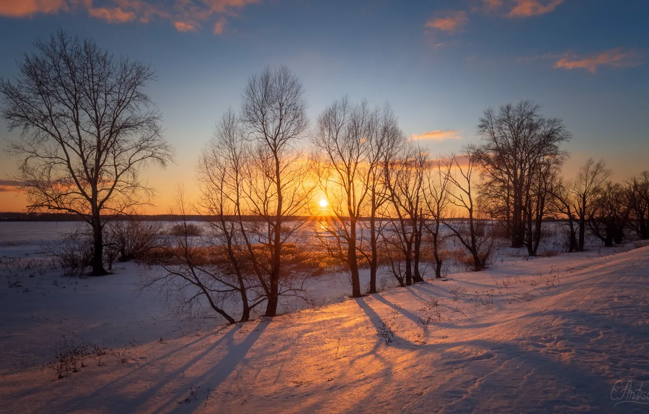 Фото обои sunset, winter, snow, Antson Elvis