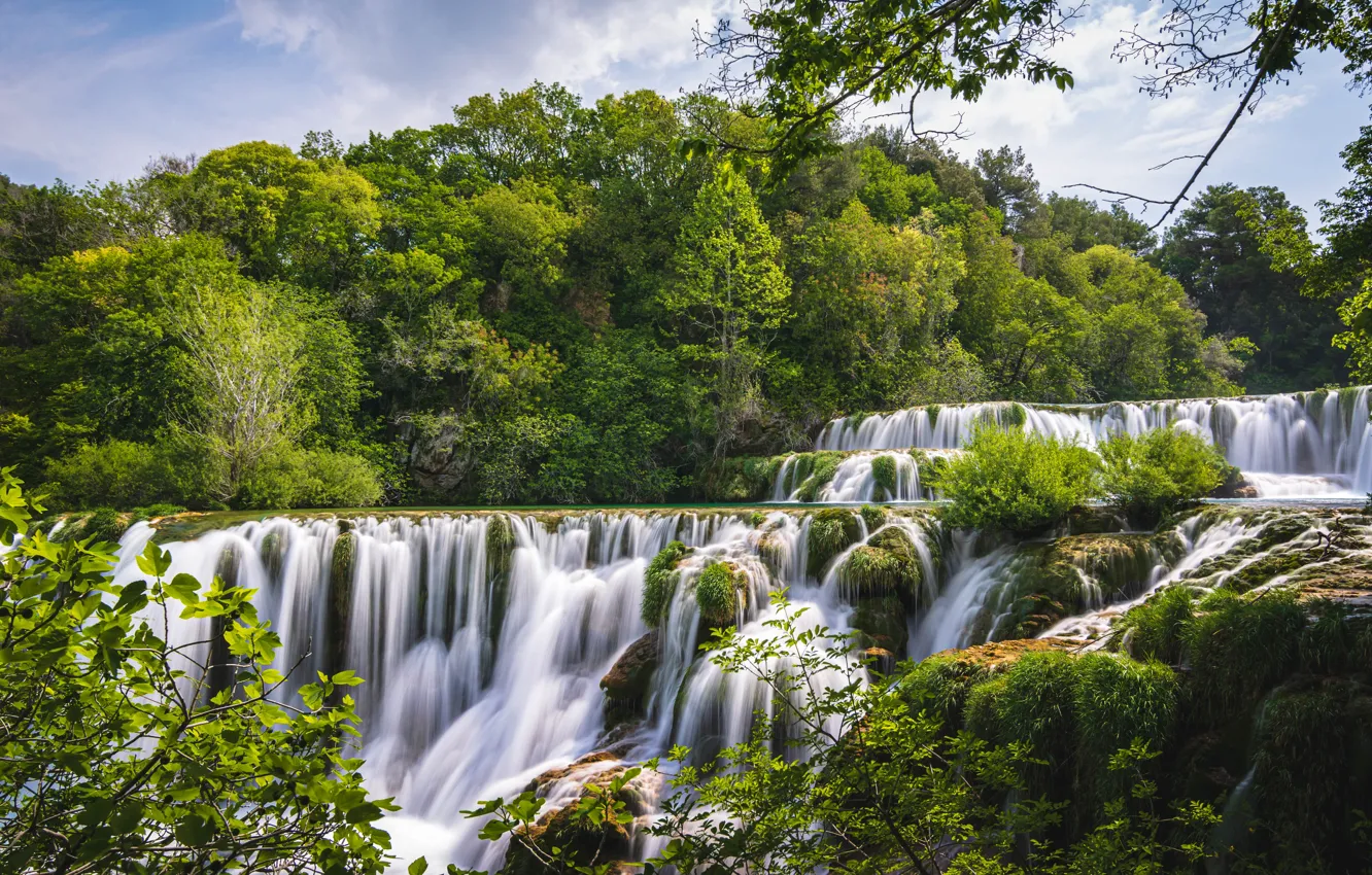 Фото обои лес, лето, деревья, водопад, каскад, Хорватия, Croatia, Krka National Park, Далмация, Dalmatia, Krka River, Национальный …
