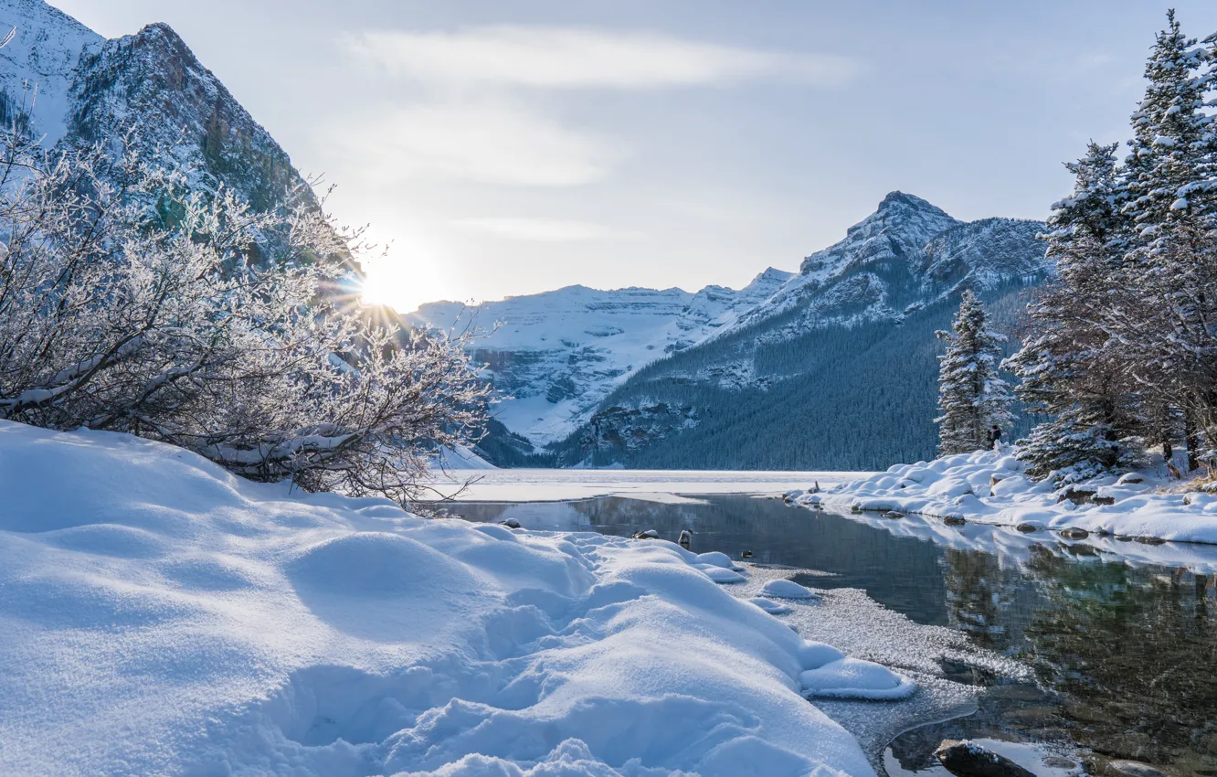 Фото обои зима, снег, деревья, горы, озеро, Канада, сугробы, Альберта, Banff National Park, Alberta, Lake Louise, Canada, …
