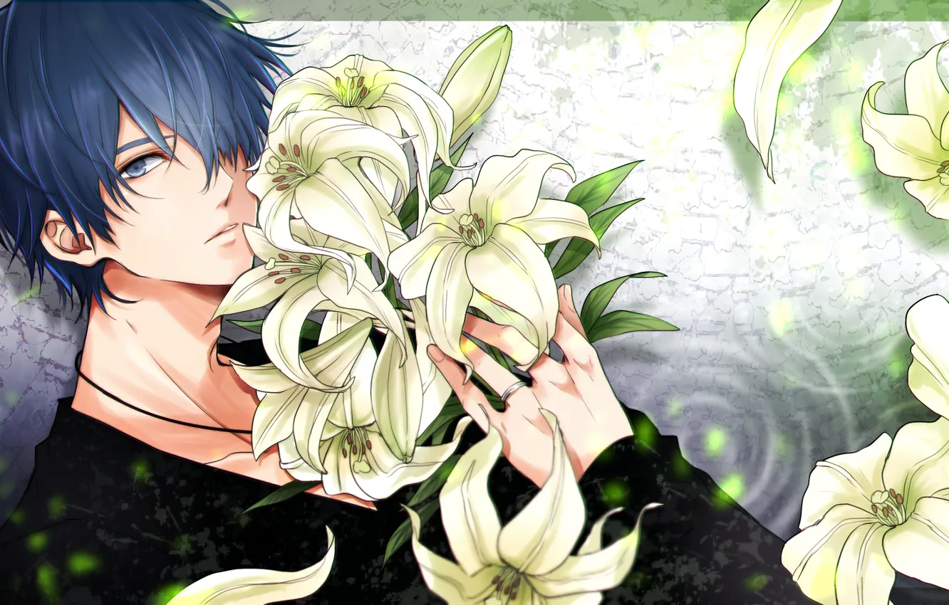 Фото обои цветы, лилии, парень, Vocaloid, Вокалоид, Кайто