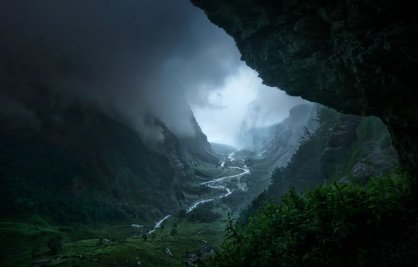 Фото обои деревья, горы, природа, туман, река, скалы, ущелье