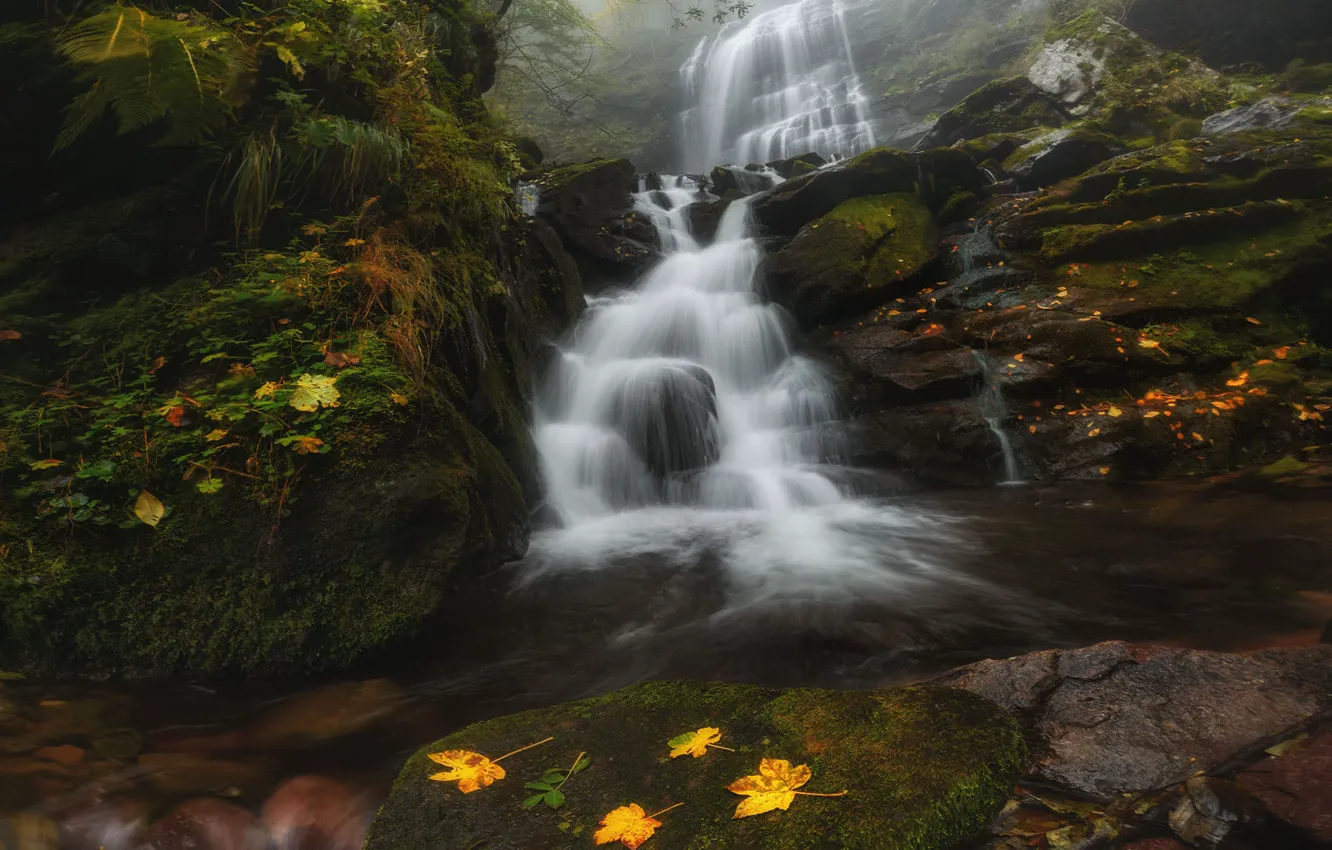 Фото обои листья, вода, деревья, камни, Природа, Краси Матаров, водопад Чипровский
