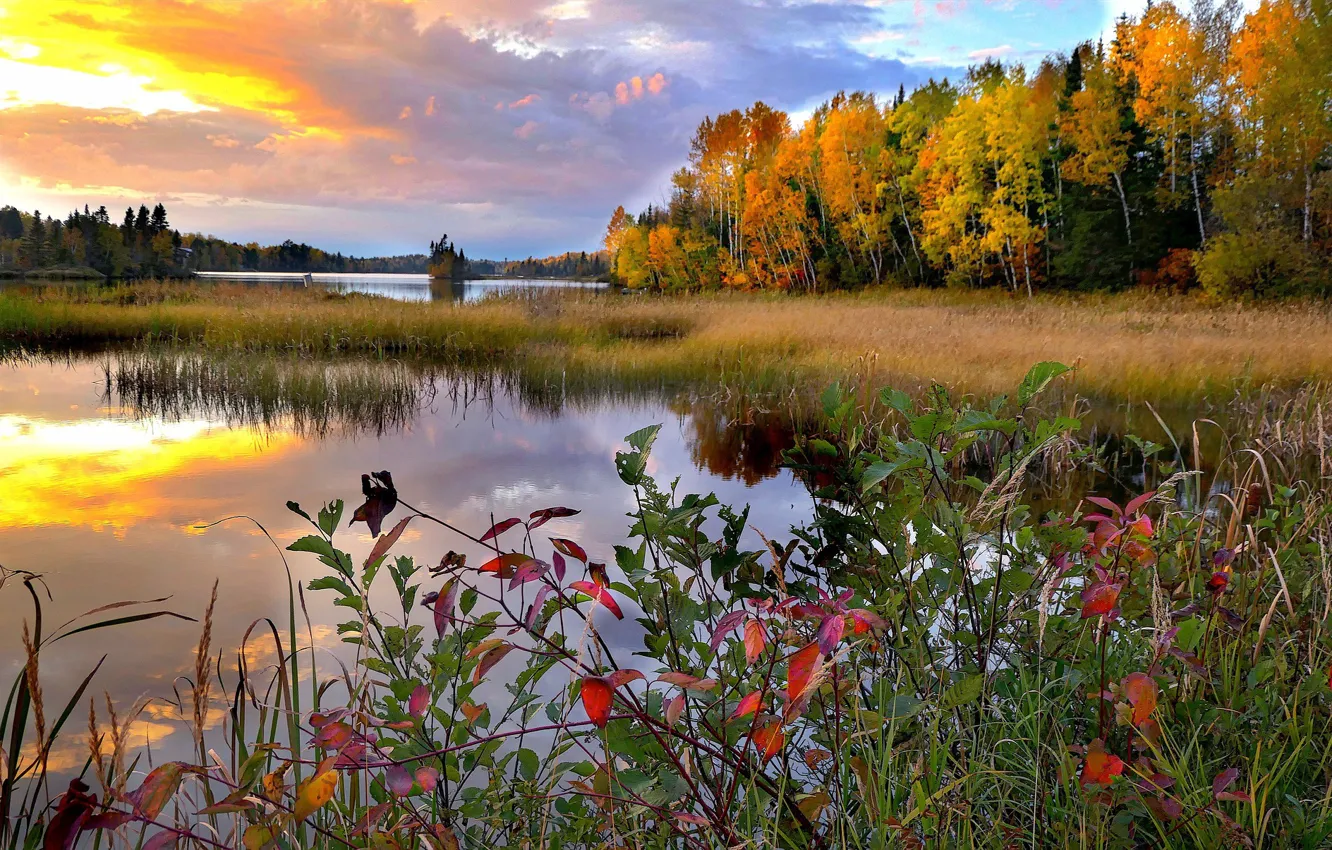 Фото обои осень, пейзаж, закат, природа, озеро, Канада, травы, леса, берега, Квебек
