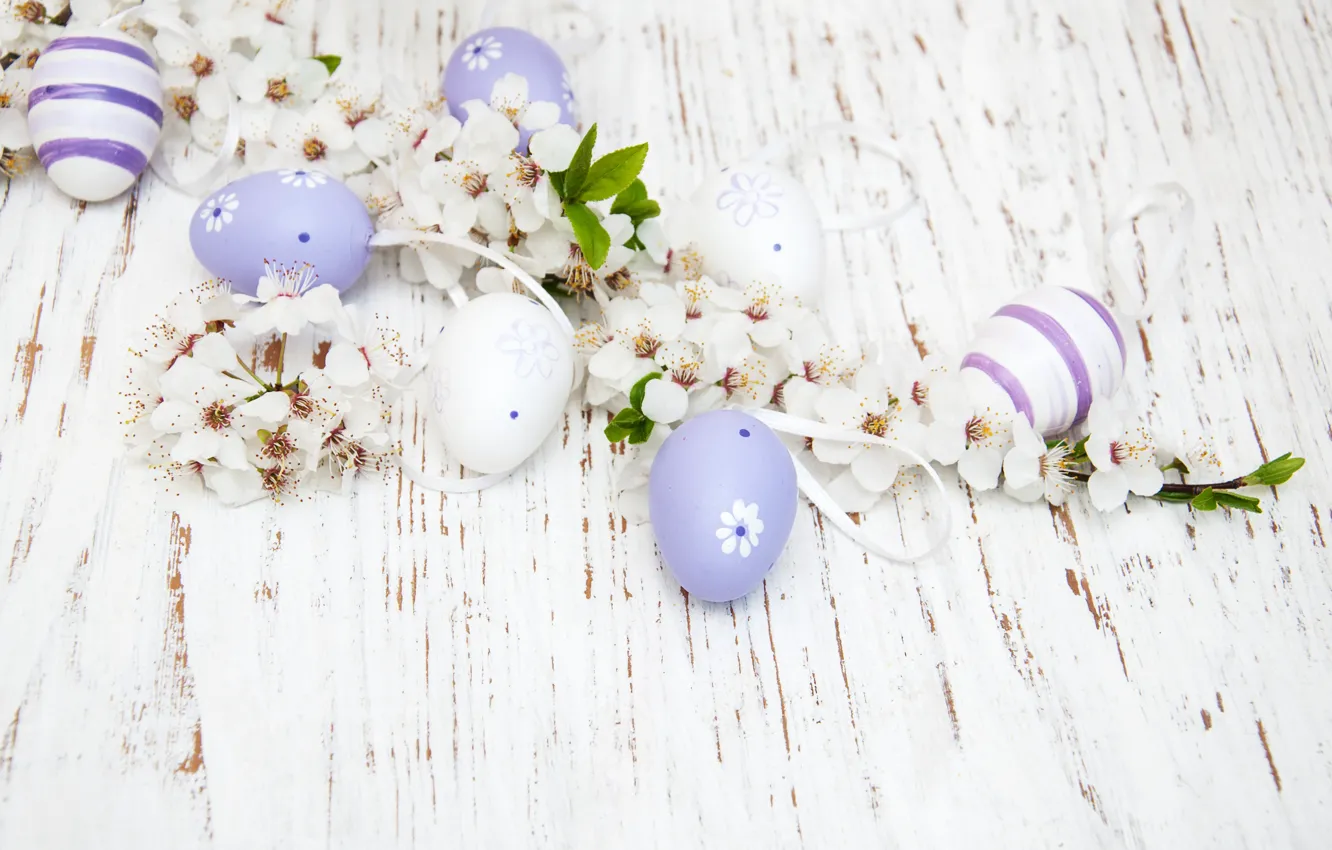 Фото обои цветы, яйца, colorful, Пасха, happy, wood, blossom, flowers, spring, Easter, eggs, decoration