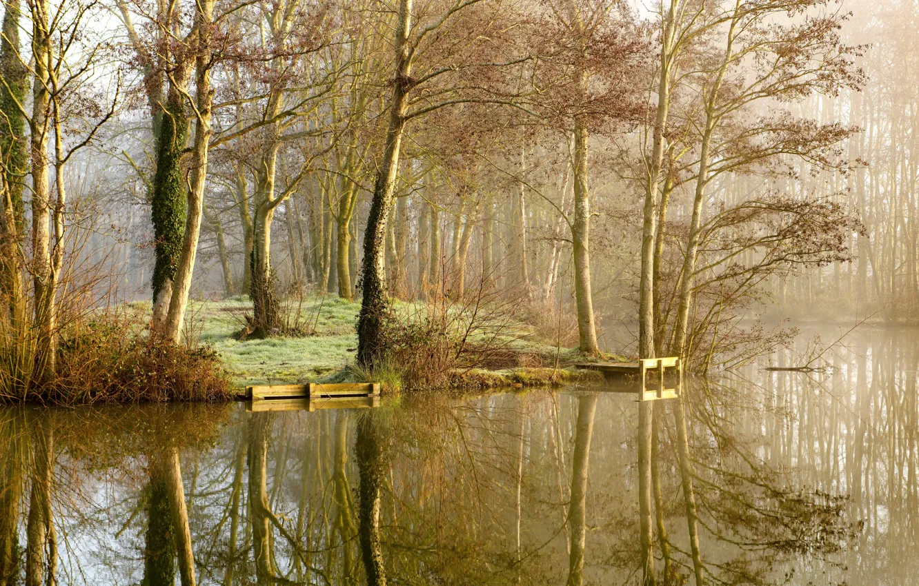 Фото обои осень, деревья, природа, туман, озеро, парк, отражение