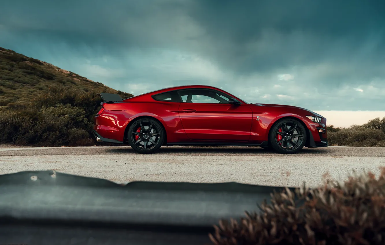 Фото обои Mustang, Ford, Shelby, GT500, профиль, кровавый, 2019
