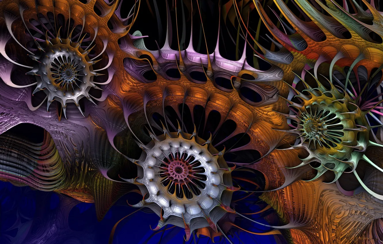Фото обои фракталы, шипы, компьютерная графика, spikes, fractals, игра цвета, color game, computer graphics