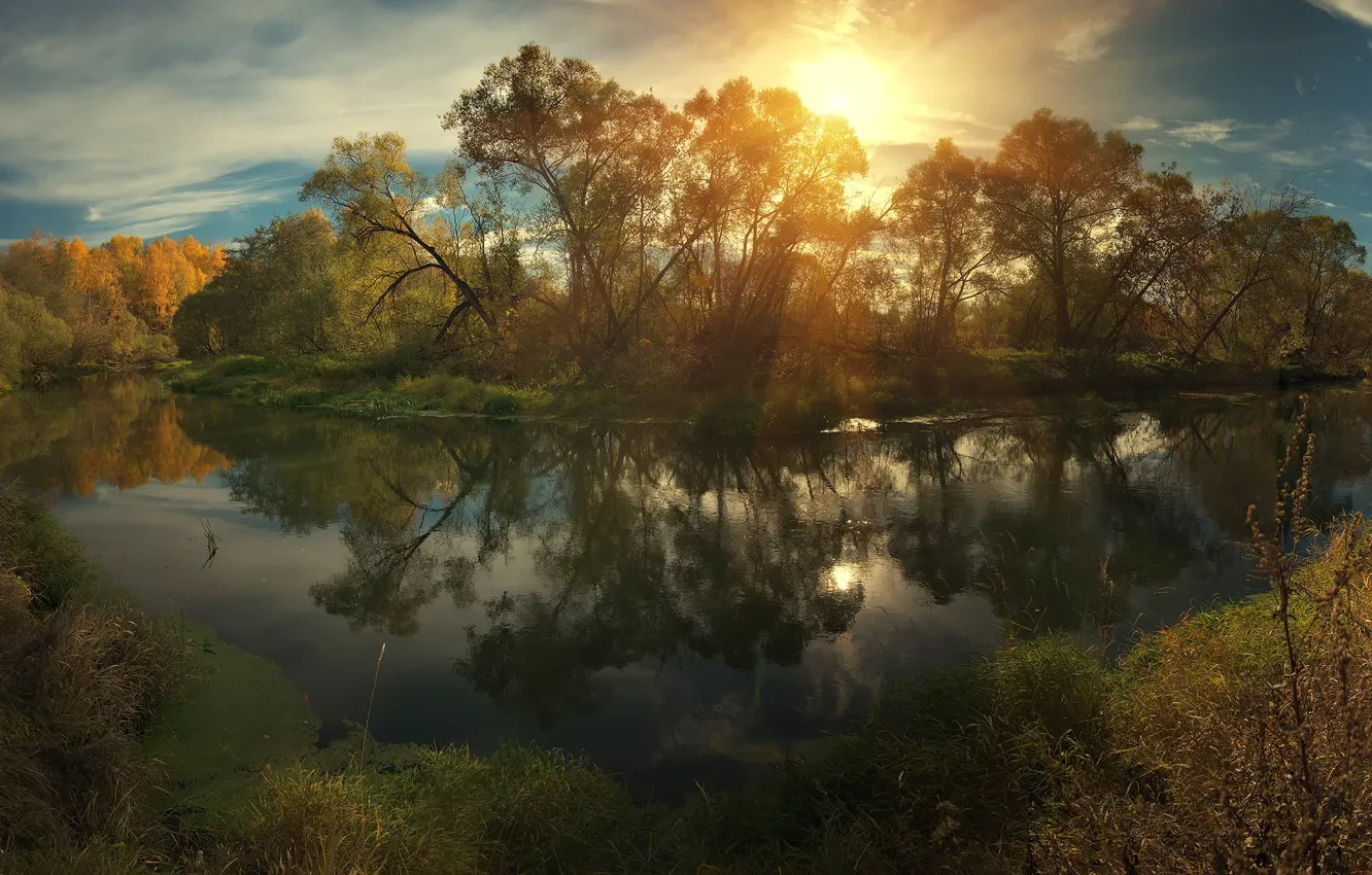 Фото обои осень, небо, вода, солнце, облака, свет, Деревья, Алексей Ник, Истра