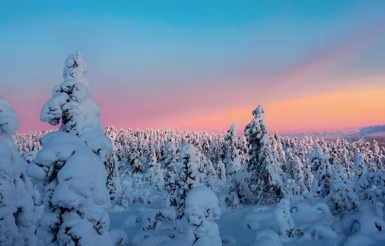 Фото обои зима, небо, облака, снег, деревья, закат, sky, landscape, sunset, blue, pink, cloud, winter, background, snow, …