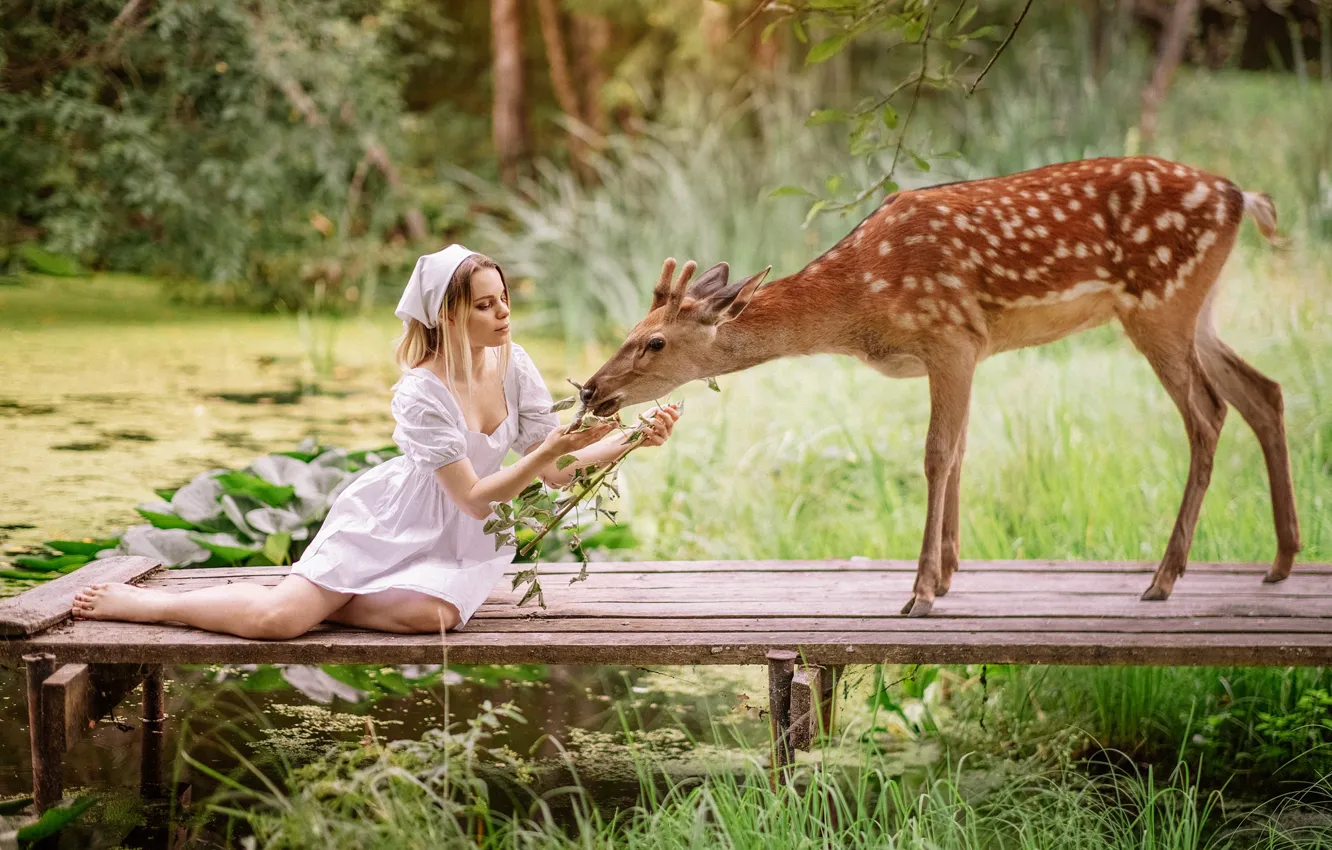 Фото обои девушка, природа, животное, олень, мосток, Александра Савенкова