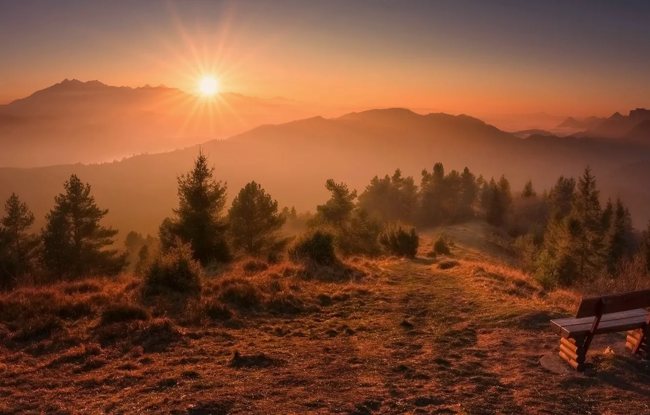 Фото обои осень, солнце, лучи, деревья, пейзаж, закат, горы, природа, туман, скамья