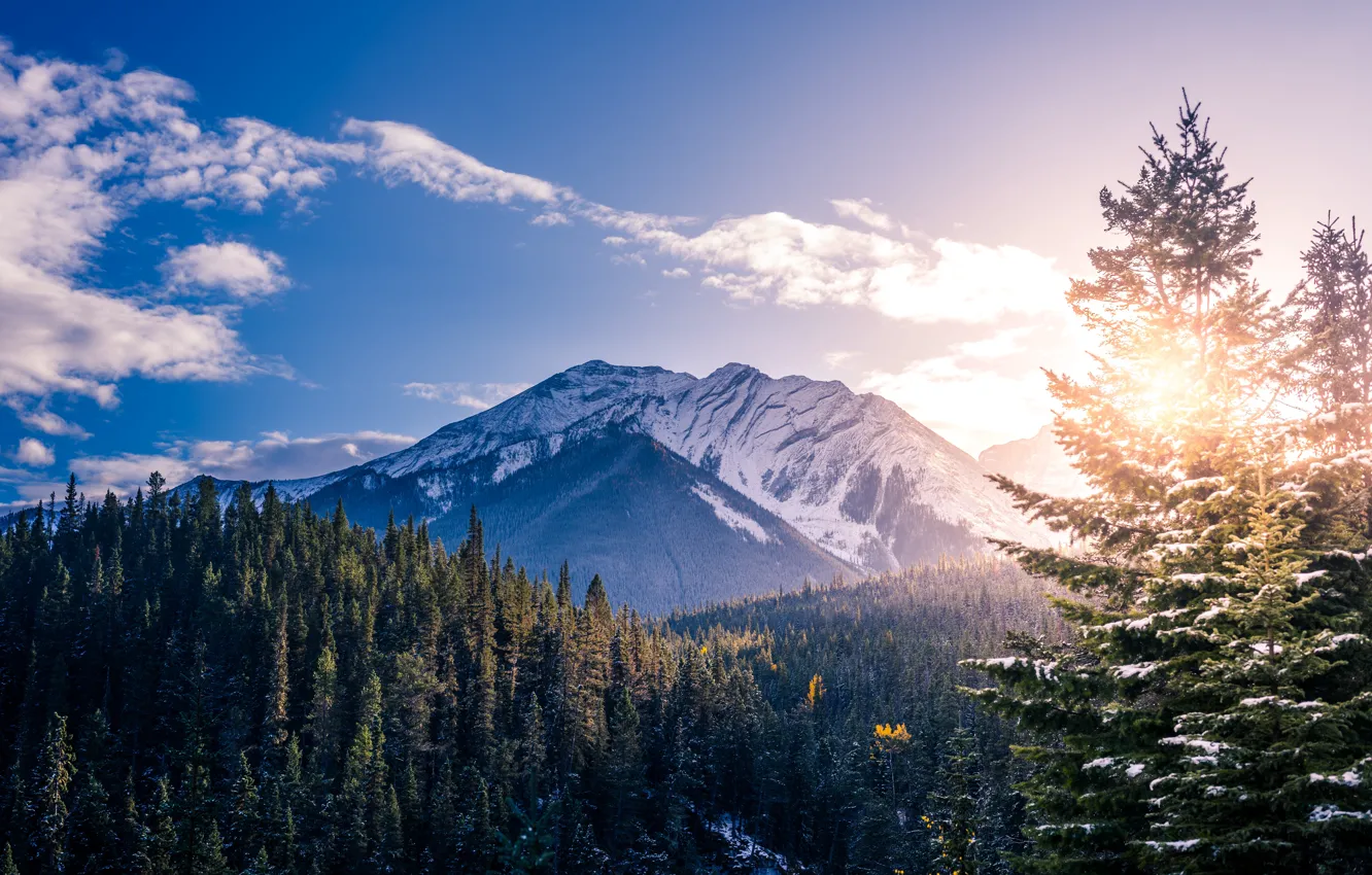 Фото обои зима, небо, солнце, облака, снег, деревья, закат, горы, природа, скалы, Канада, Банф