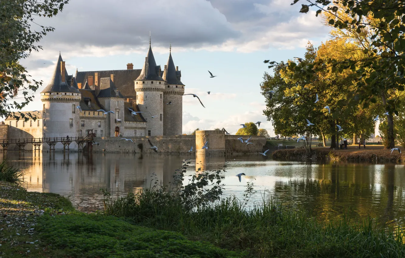 Фото обои птицы, пруд, замок, Франция, Sully sur Loire