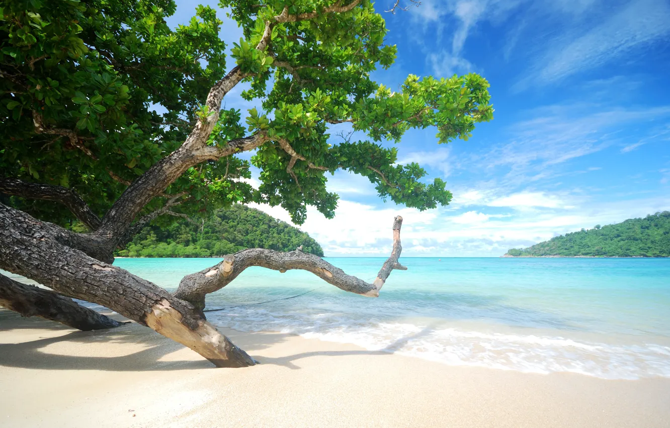 Фото обои песок, море, волны, пляж, лето, небо, деревья, берег, summer, beach, sea, seascape, beautiful, sand, paradise, …