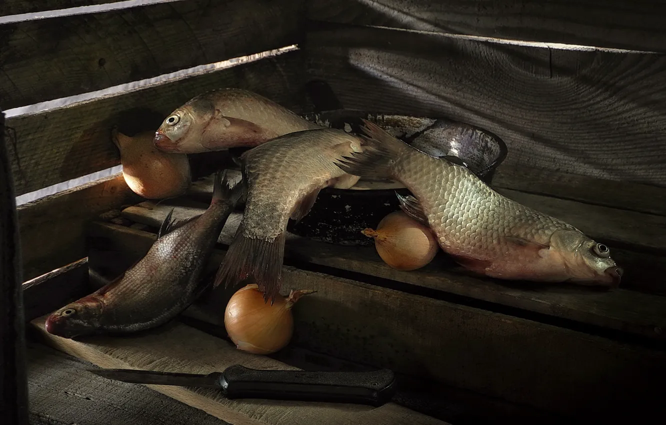 Фото обои доски, рыба, лук, нож, сковорода, улов, Сергей Фунтовой