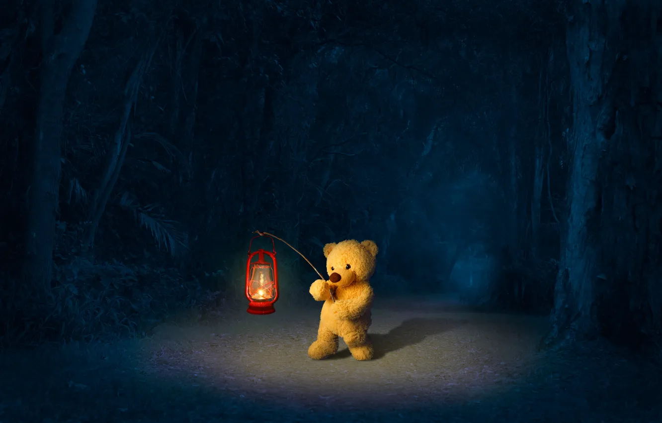 Фото обои дорога, лес, ночь, медведь, фонарь, медвежонок, плюшевый мишка