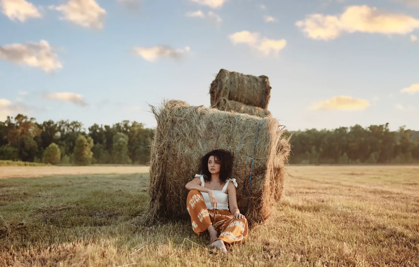 Фото обои поле, девушка, природа, сено, шатенка, кудри, Денис Ведь