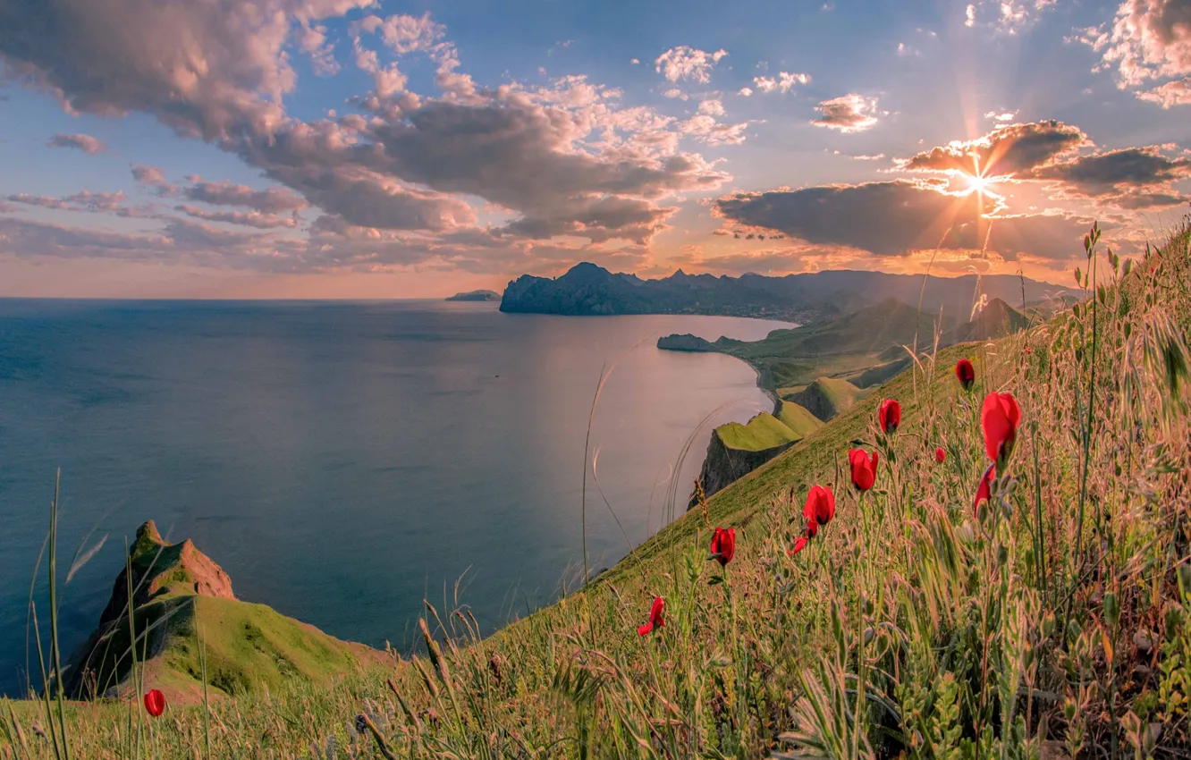 Фото обои море, солнце, лучи, пейзаж, природа, побережье, маки, Крым