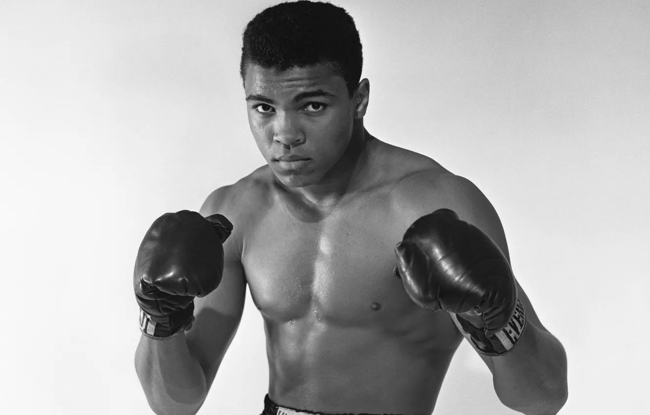Фото обои Muhammad Ali, boxing, legend boxer, Cassius Marcellus Clay Jr. 