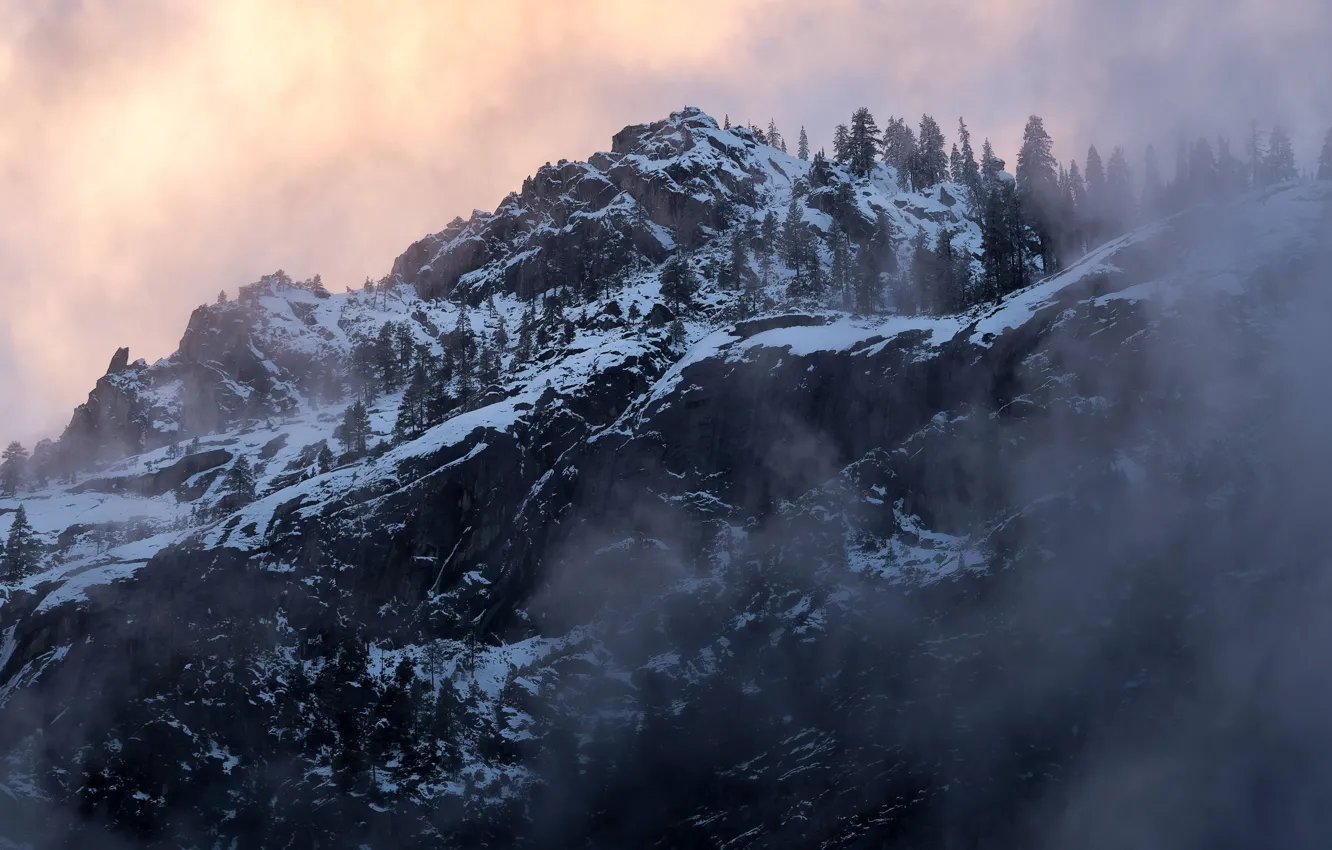 Фото обои зима, небо, снег, деревья, закат, горы, природа, туман, скалы, вечер