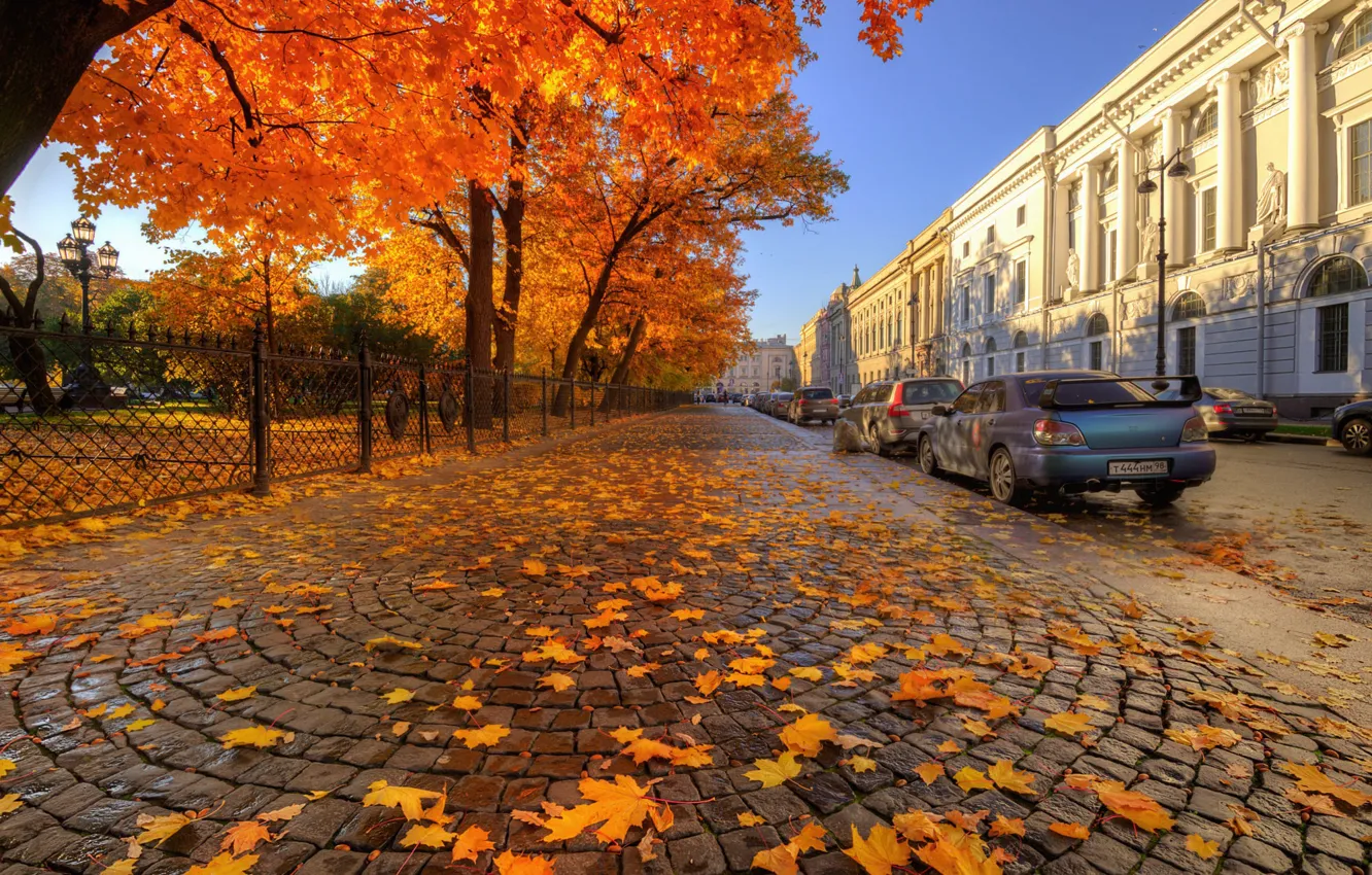 Фото обои авто, осень, улица, Санкт-Петербург, Ed Gordeev, Гордеев Эдуард