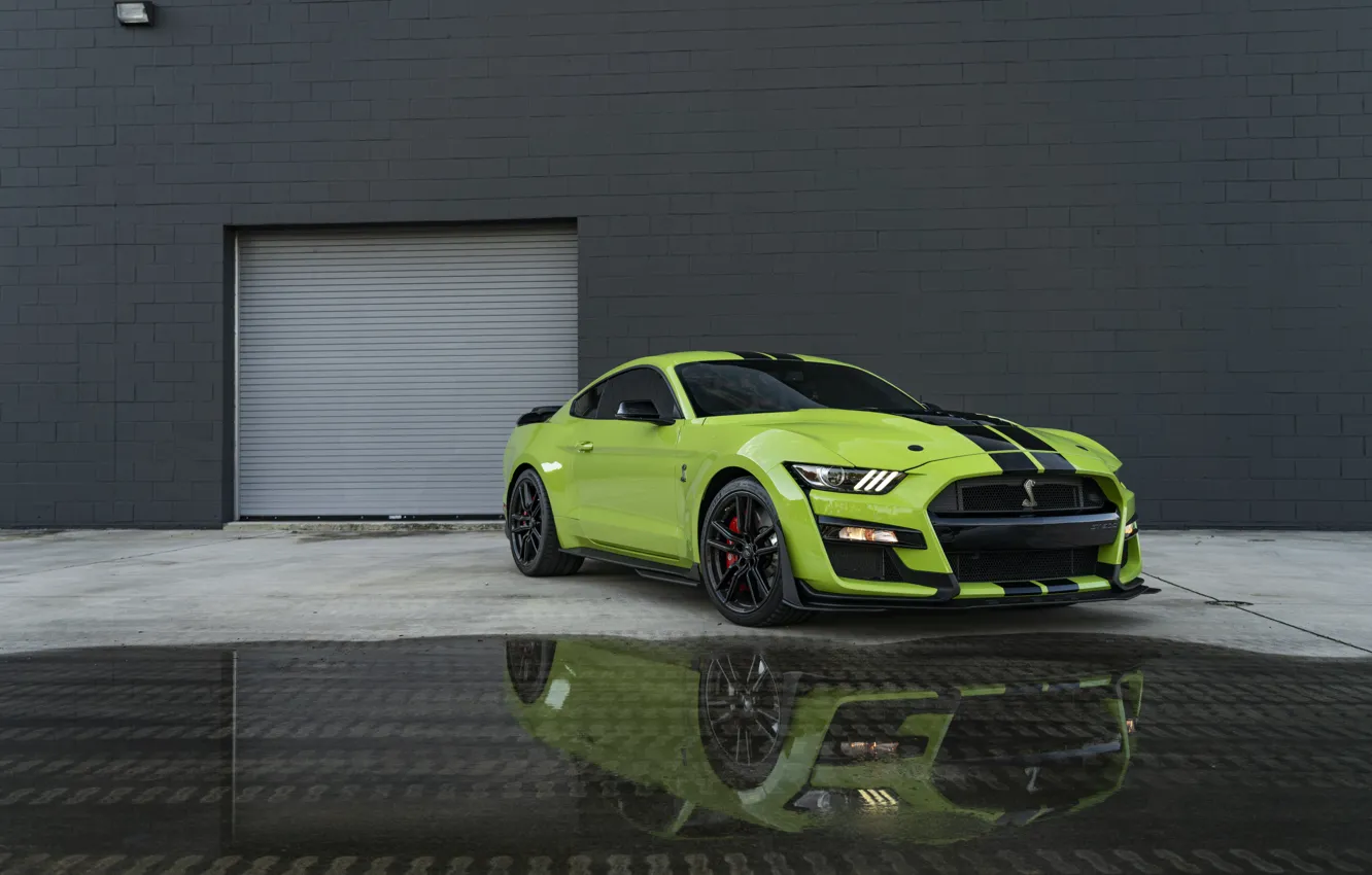 Фото обои Mustang, Ford, GT500, Wall, Green, Water, Reflection, Sight