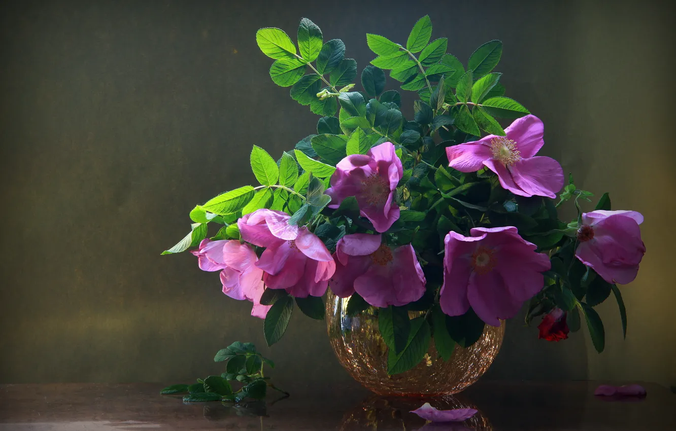 Фото обои листья, ветки, лепестки, шиповник, ваза, цветки, Наталья Кудрявцева