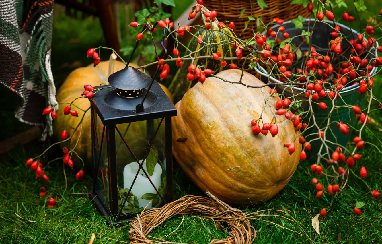 https://img5.goodfon.ru/wallpaper/nbig/d/76/osen-listia-urozhai-tykva-autumn-leaves-pumpkin-harvest-iago.jpg