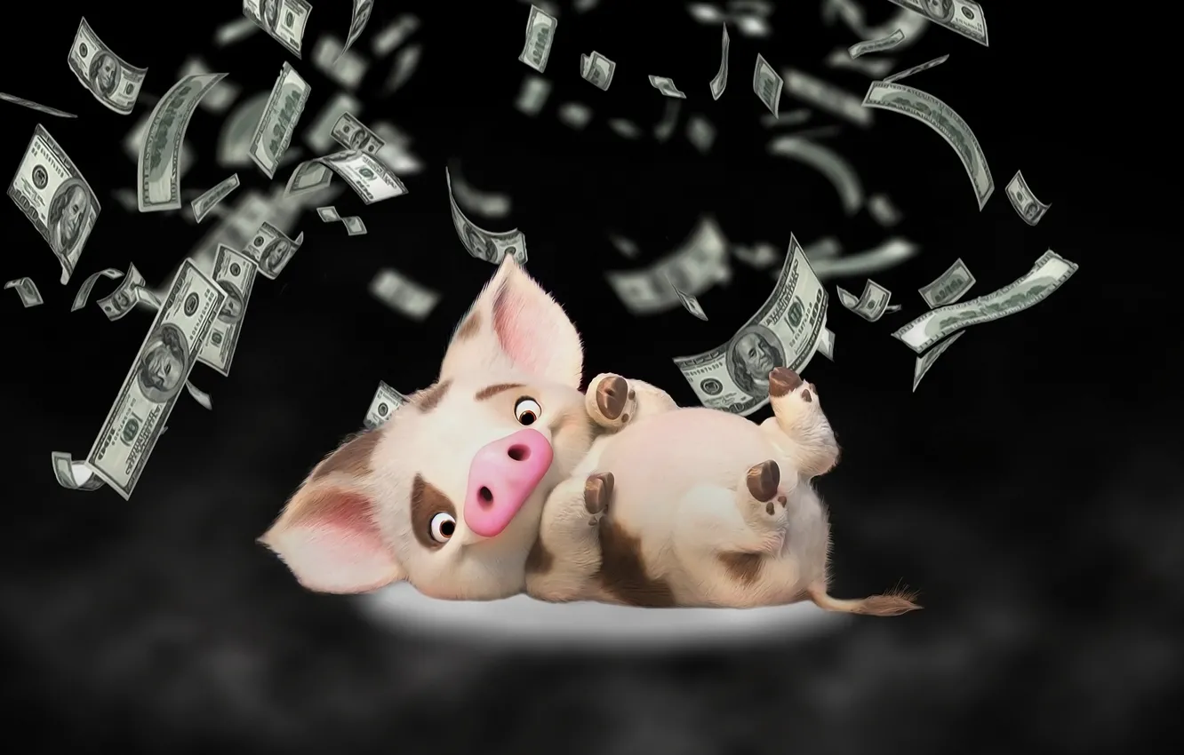 Фото обои фон, деньги, свинья, поросенок