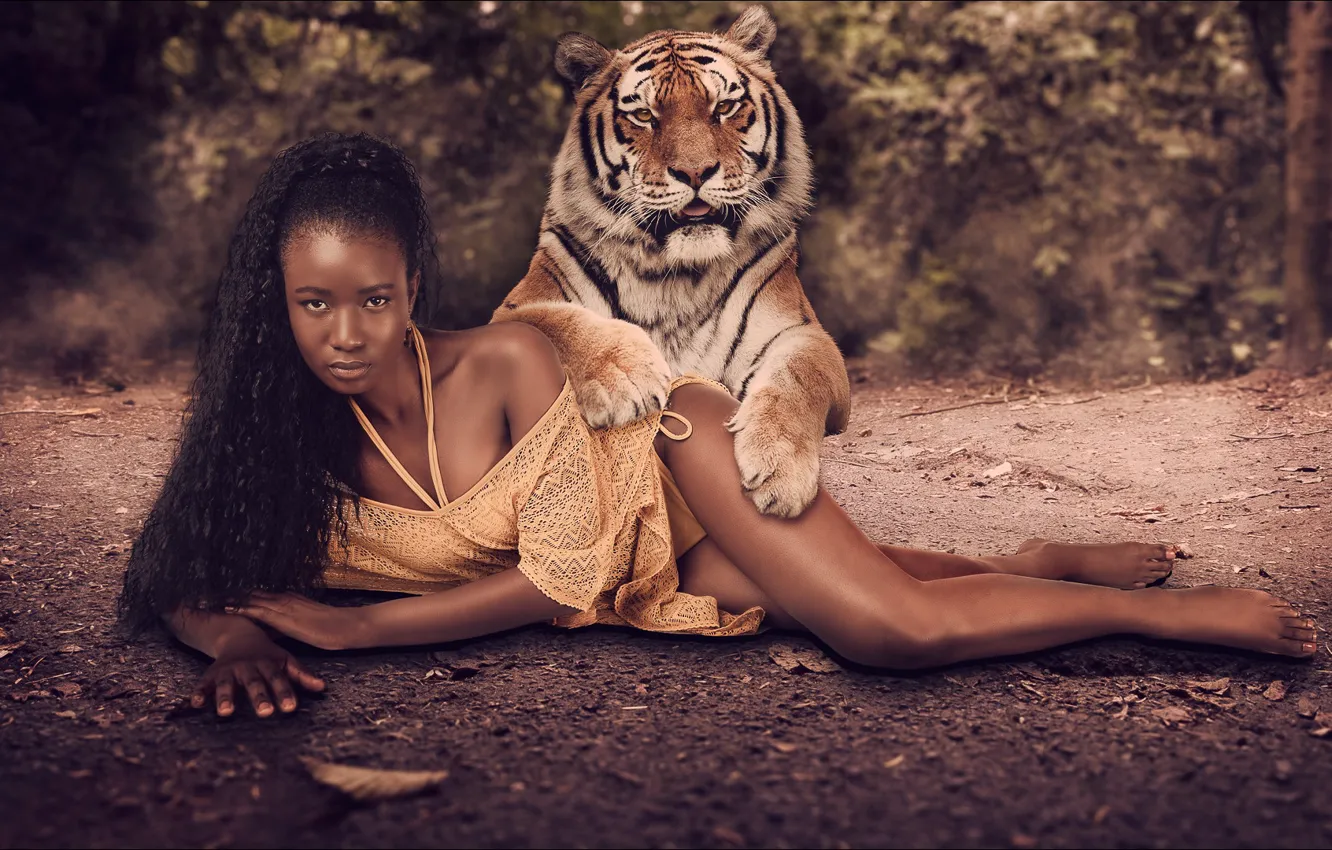 Фото обои тигр, шоколадка, мулатка, girl, двое, tiger, two, chocolate, lady