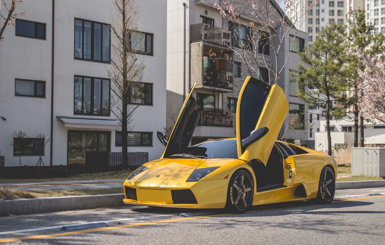 Фото обои Lamborghini, Murcielago, Yellow