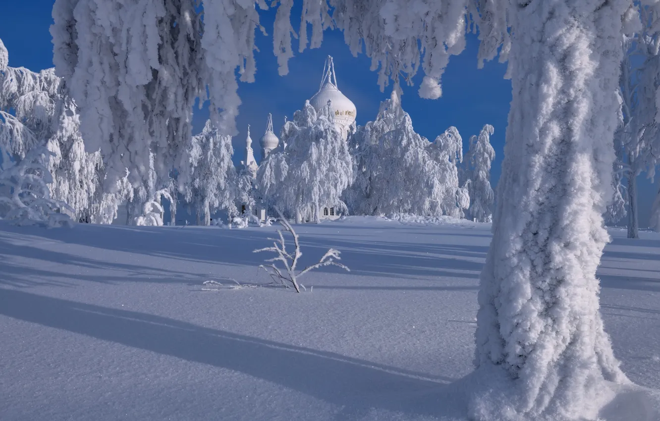 Фото обои зима, снег, деревья, пейзаж, природа, церковь, тени, купола, Пермский край, Максим Евдокимов, Белая Гора