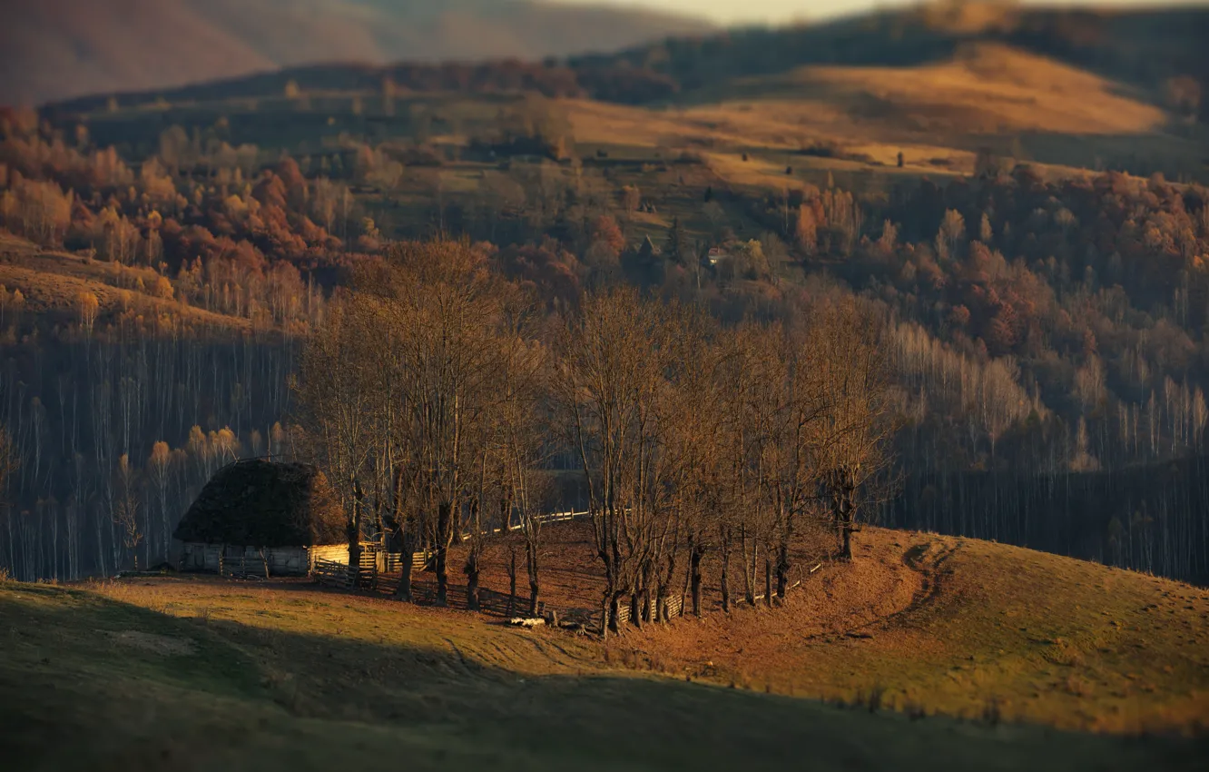 Фото обои осень, деревья, пейзаж, природа, дом, холмы, леса, луга, Румыния, Александр Перов