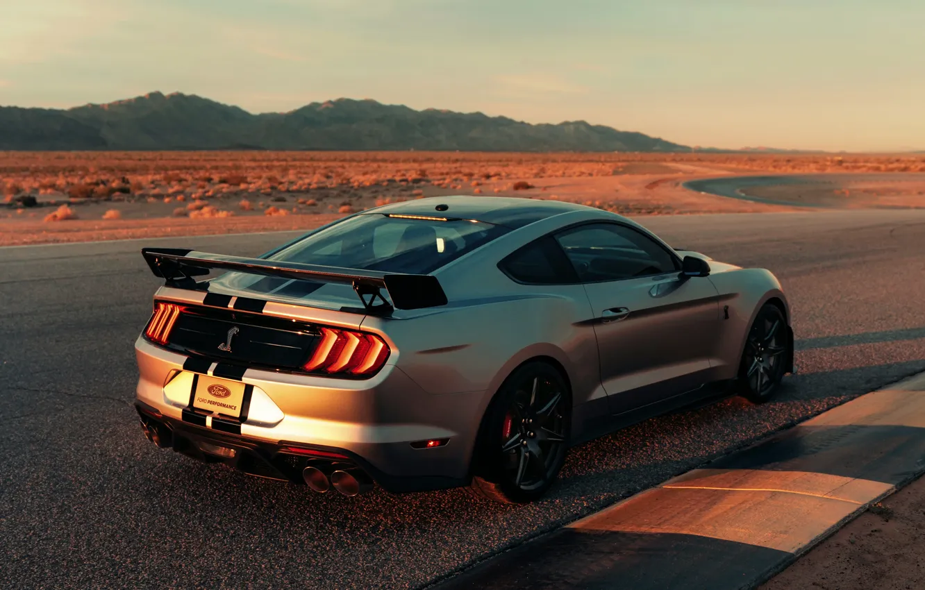 Фото обои Mustang, Ford, Shelby, GT500, трек, 2019, серо-серебристый