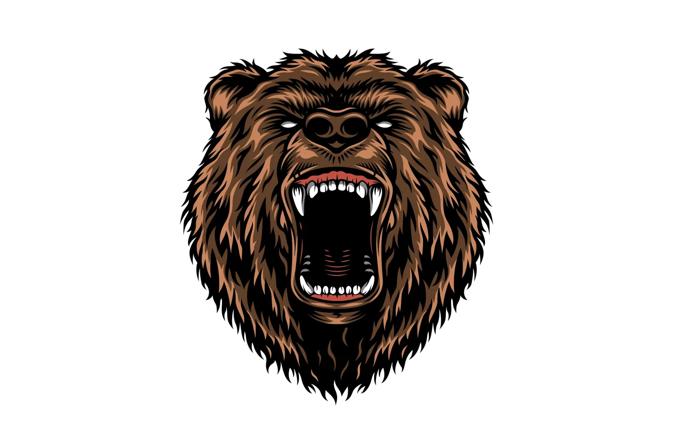 Злой медведь рисунок