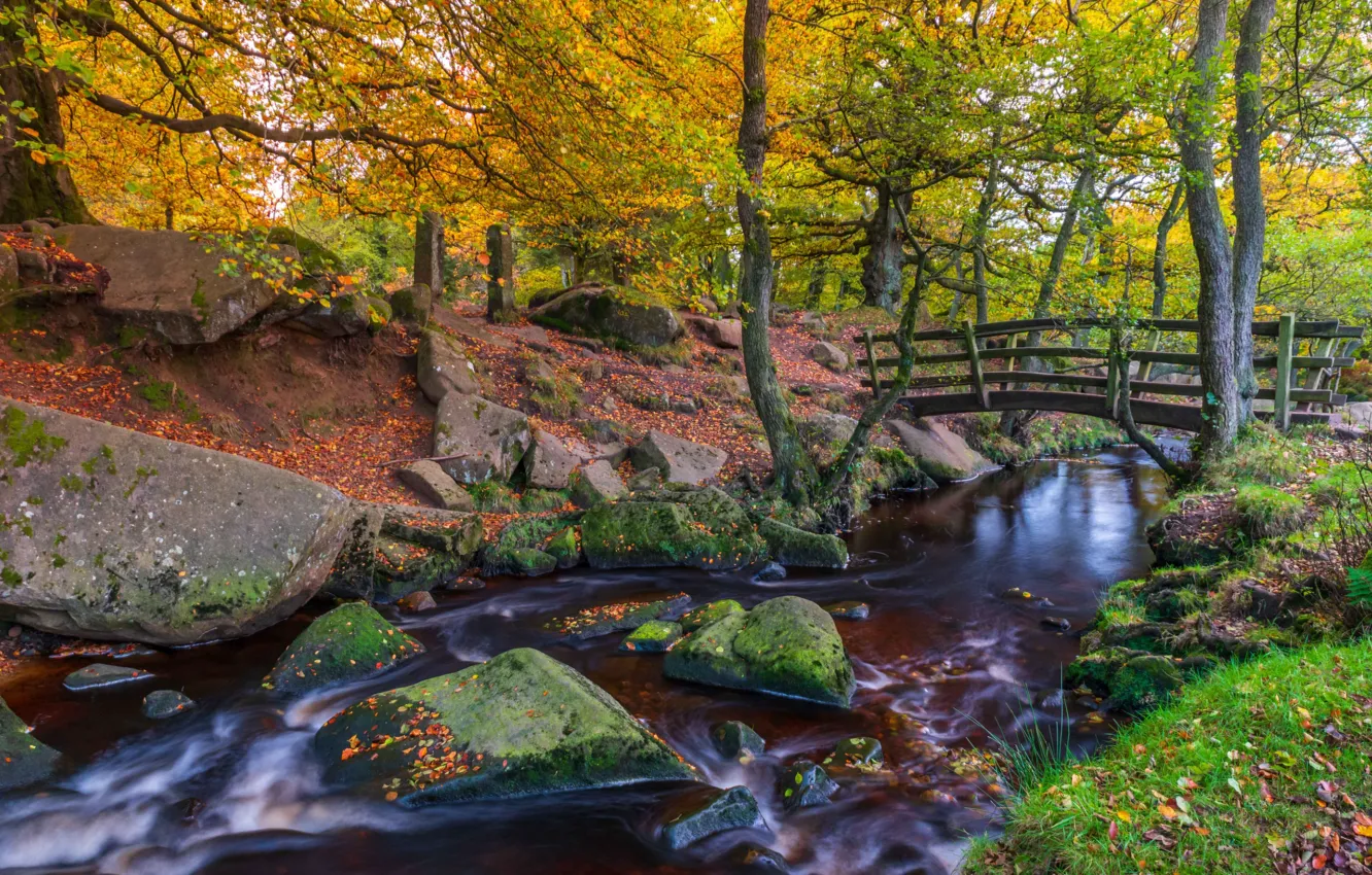 Фото обои осень, лес, деревья, пейзаж, природа, парк, камни, речка, мостик
