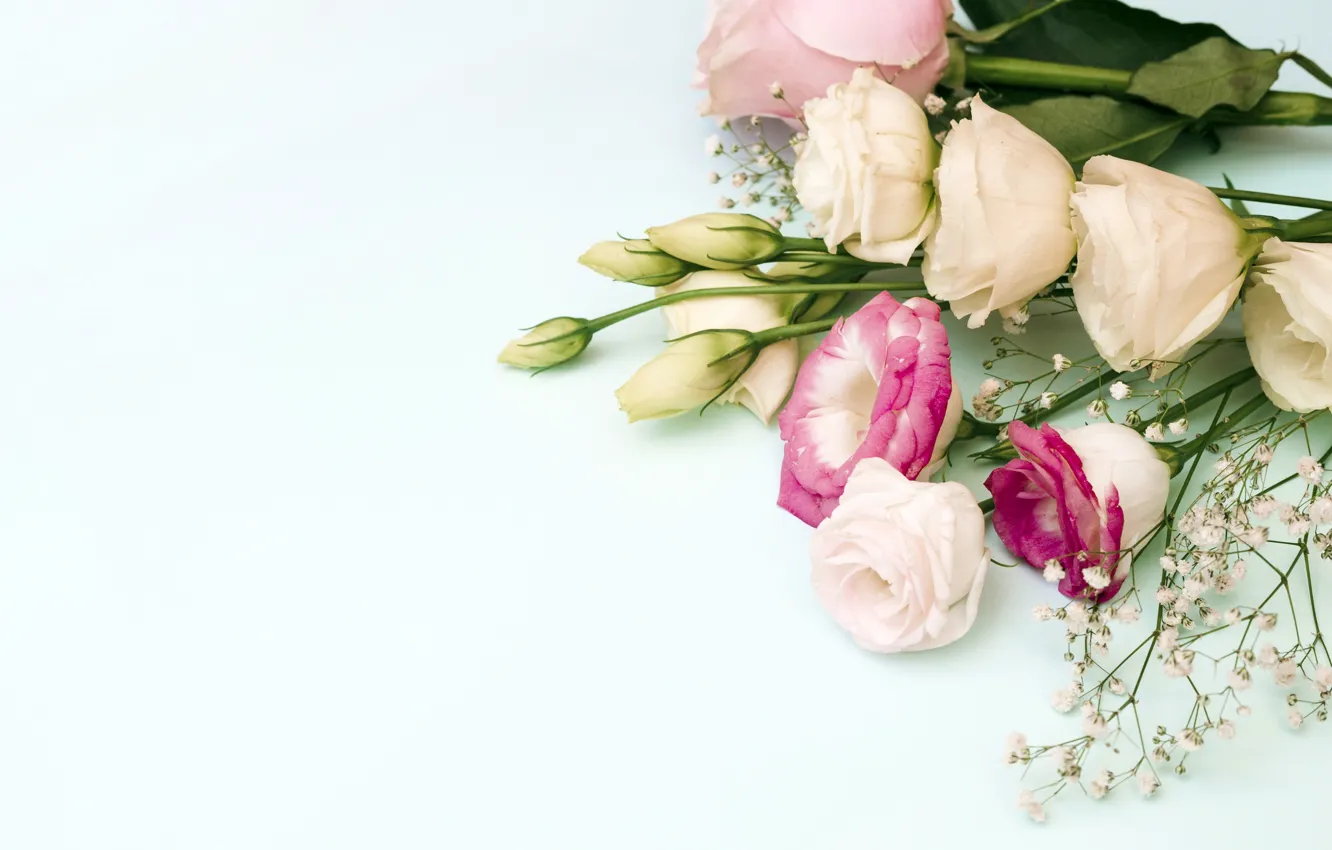 Фото обои цветы, розы, букет, pink, flowers, roses, эустома, eustoma