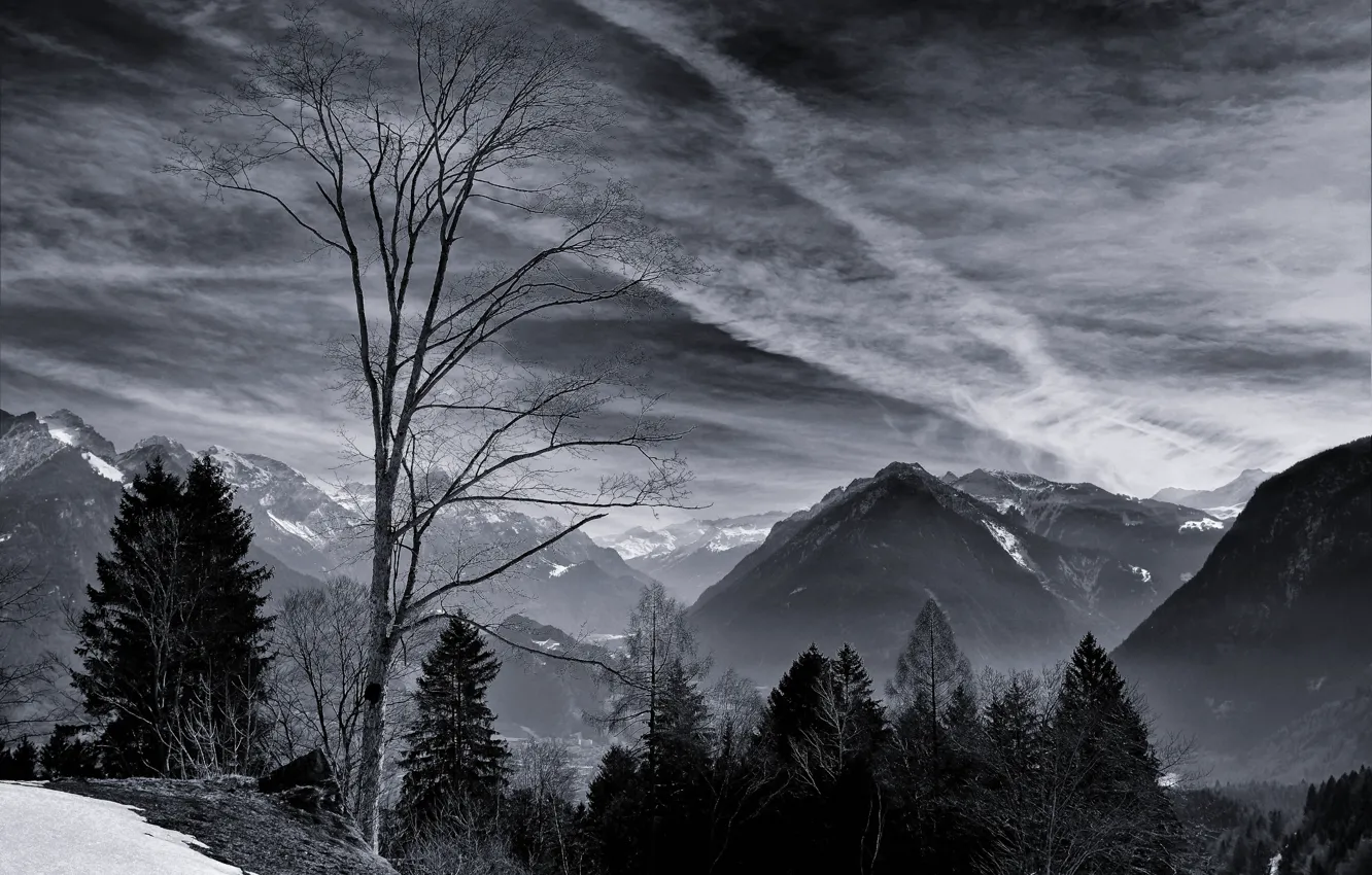 Фото обои зима, небо, облака, снег, деревья, горы, природа, скалы, black & white, черно-белое, монохром