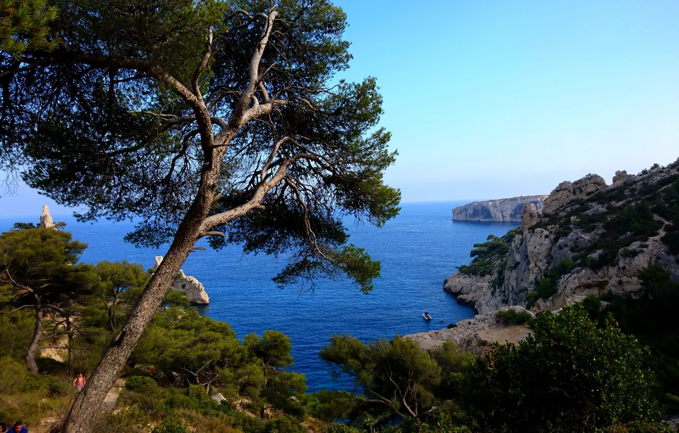 Фото обои море, деревья, пейзаж, природа, скалы, побережье, Франция
