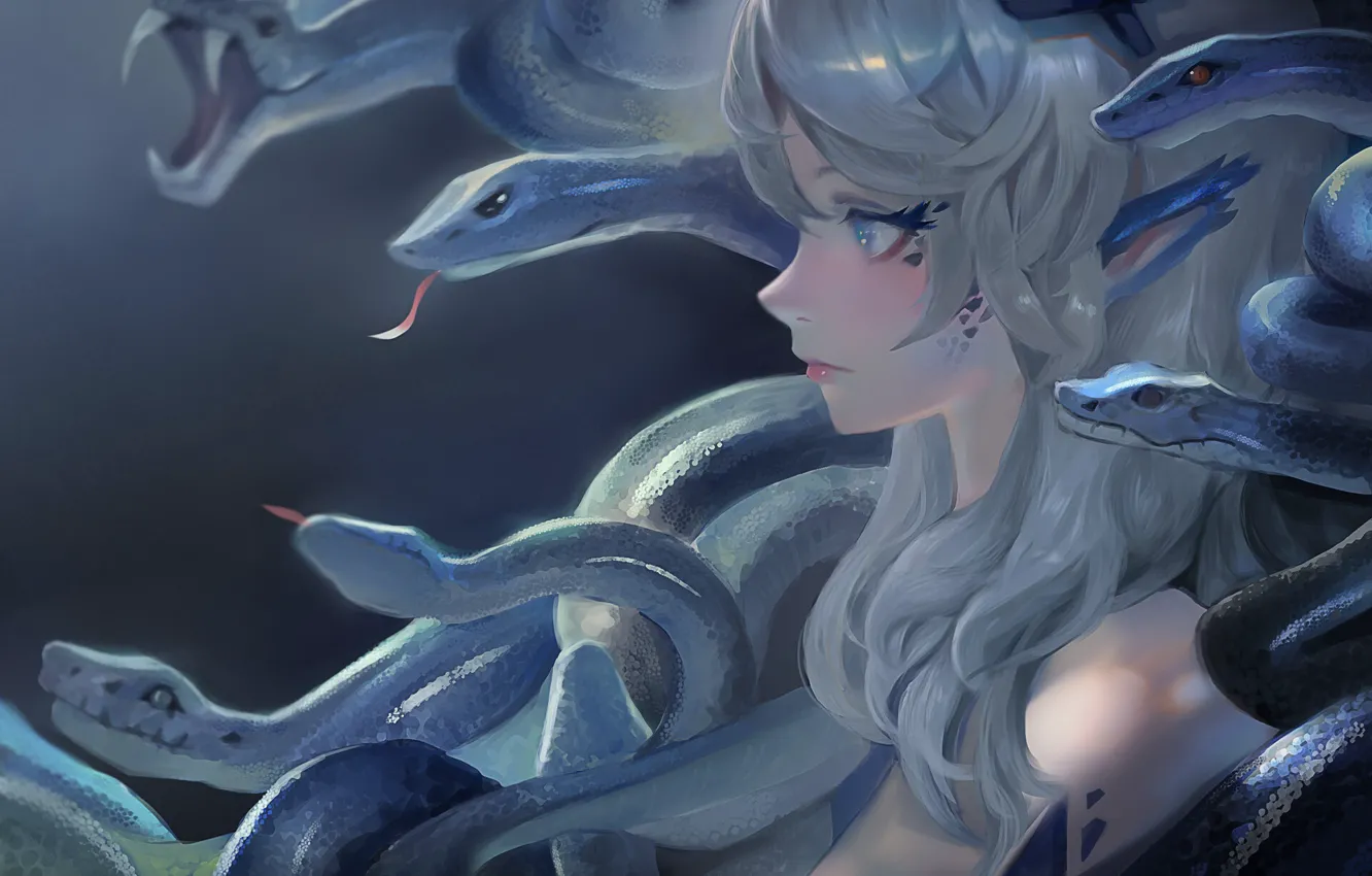 Фото обои Змеи, Серые волосы, Голубые Глаза, Аниме Девшука