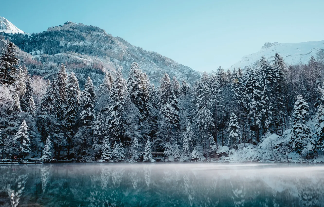 Фото обои зима, лес, небо, снег, деревья, горы, природа, озеро, Швейцария