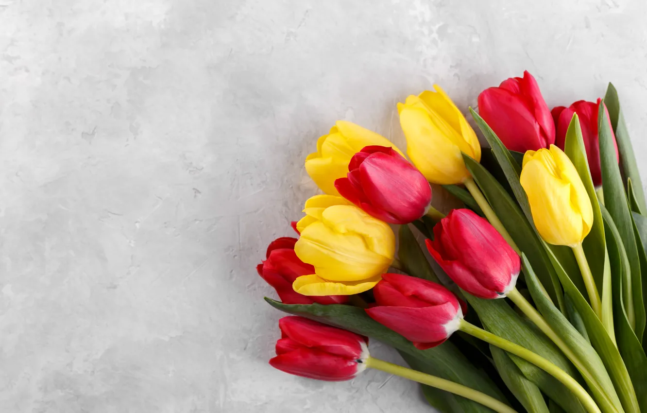Фото обои цветы, букет, colorful, тюльпаны, flowers, tulips, bouquet