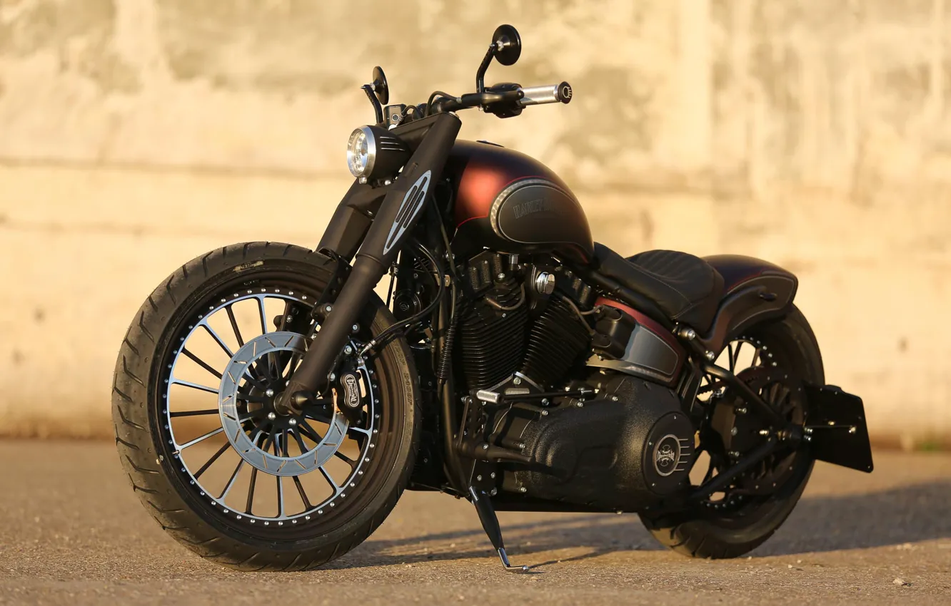 Фото обои Harley-Davidson, Custom, Motorbike, Thunderbike, By Thunderbike